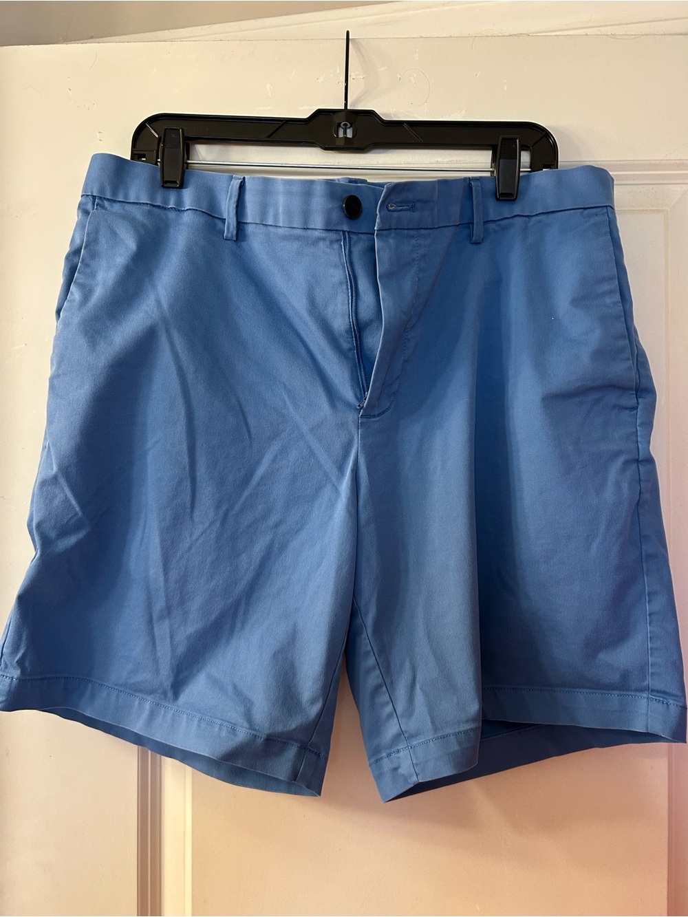 Banana Repubic Men's Blue Casual Shorts